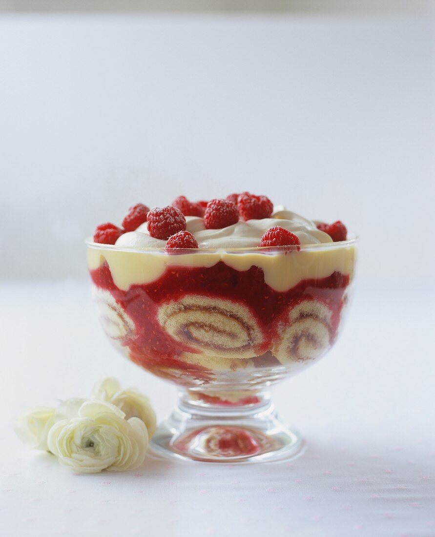 Swiss roll, raspberry purée and white chocolate trifle