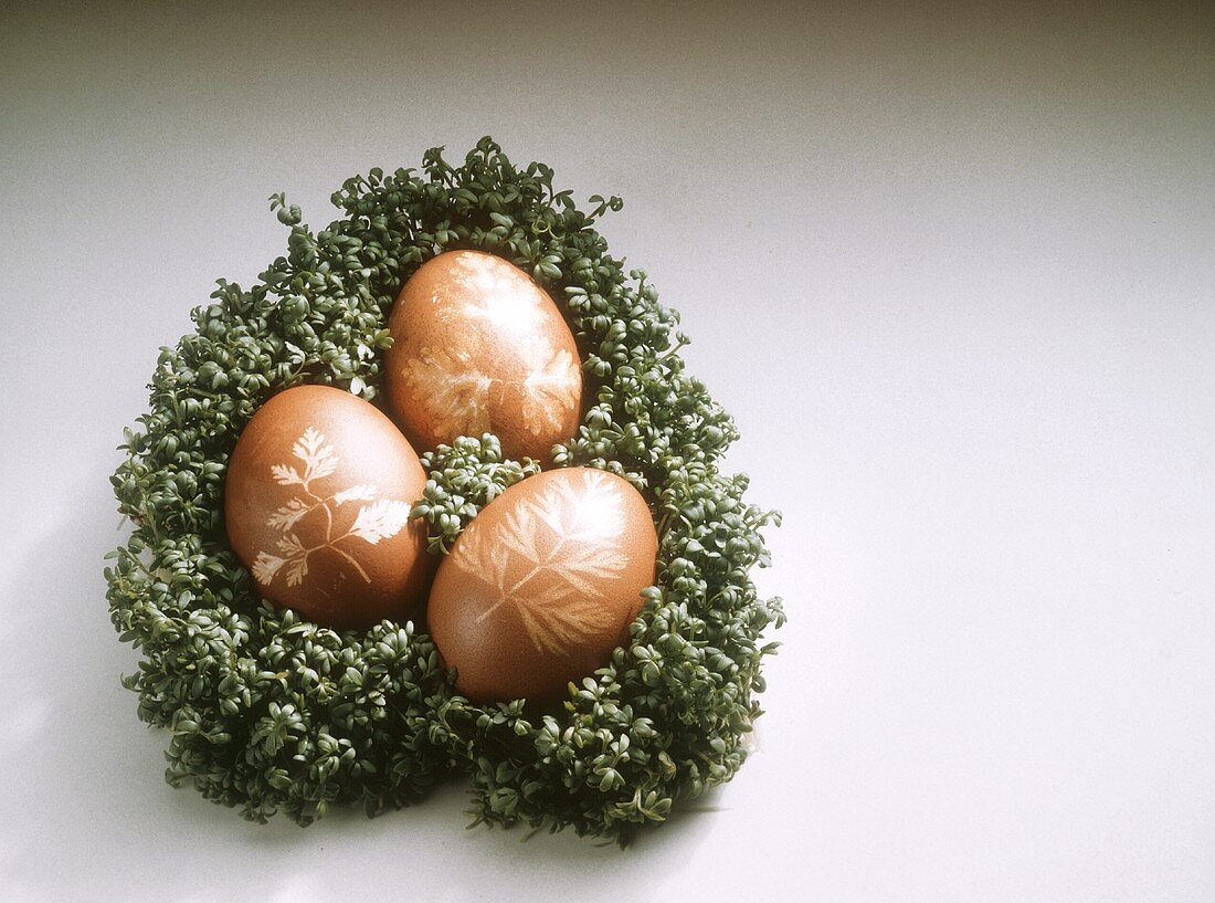 Easter Eggs in a Cress Heart