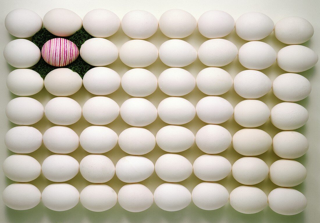 Viele Eier geometrisch angeordnet, eines bemalt auf Rasen