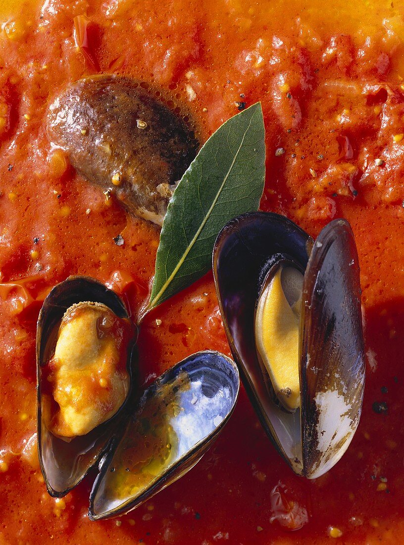 Blue Mussels in Tomato Sauce