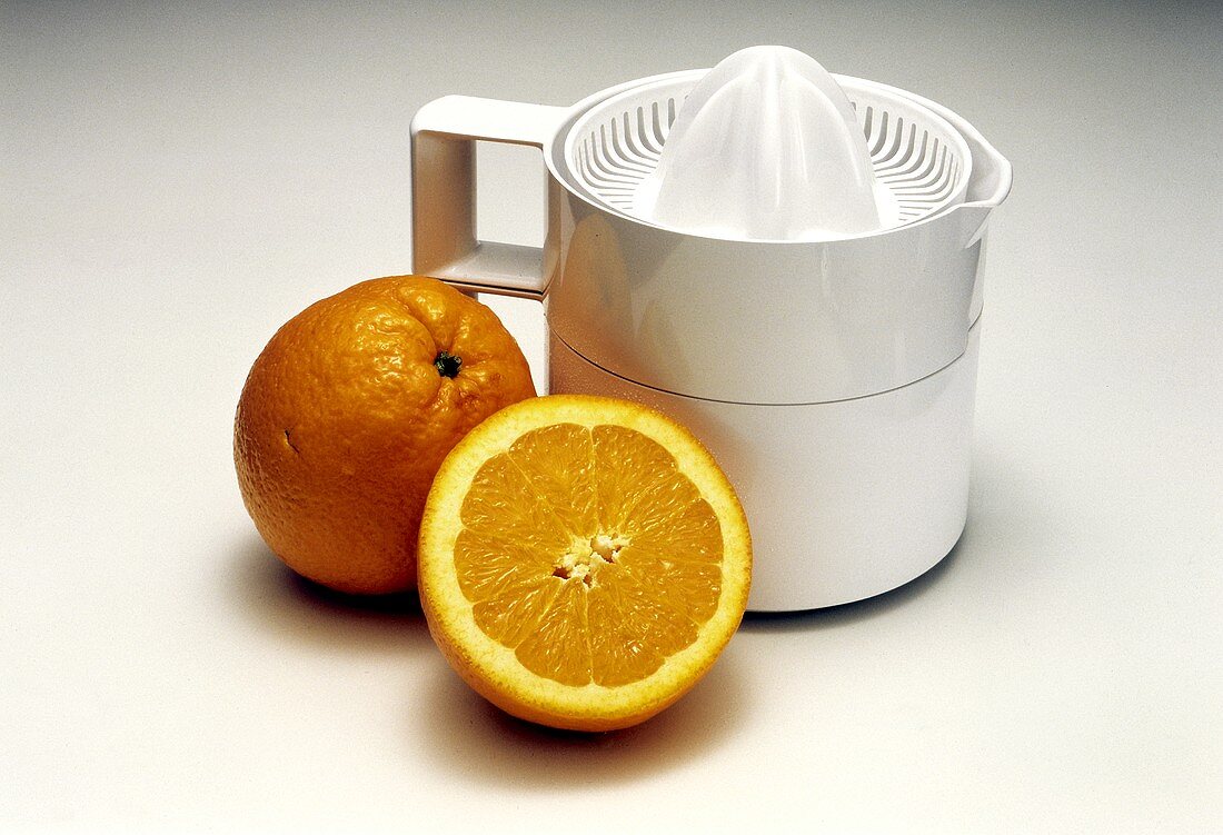 Citrus Juicer with Oranges