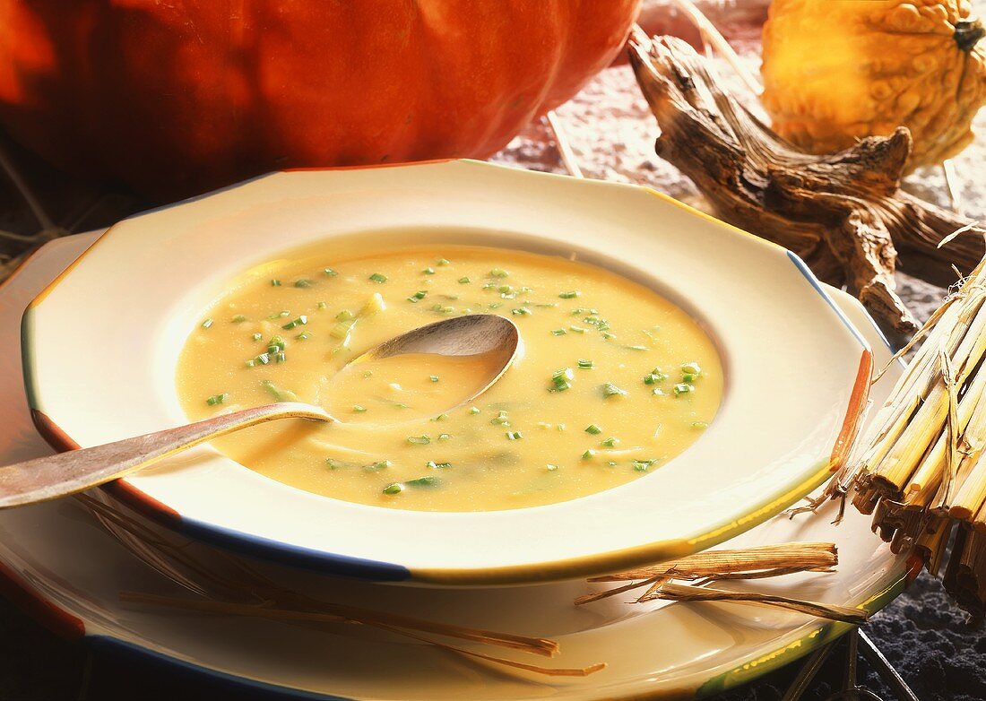 Creamed pumpkin soup