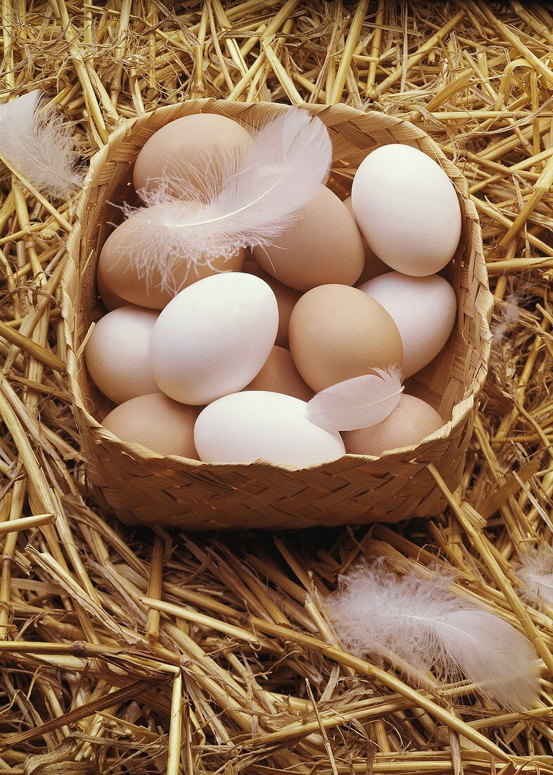 Fresh Eggs in Basket with Feathers