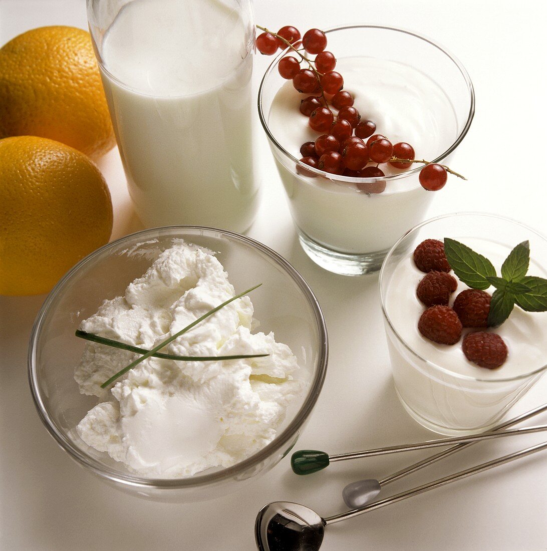 Milk Products for the Slimming Diet