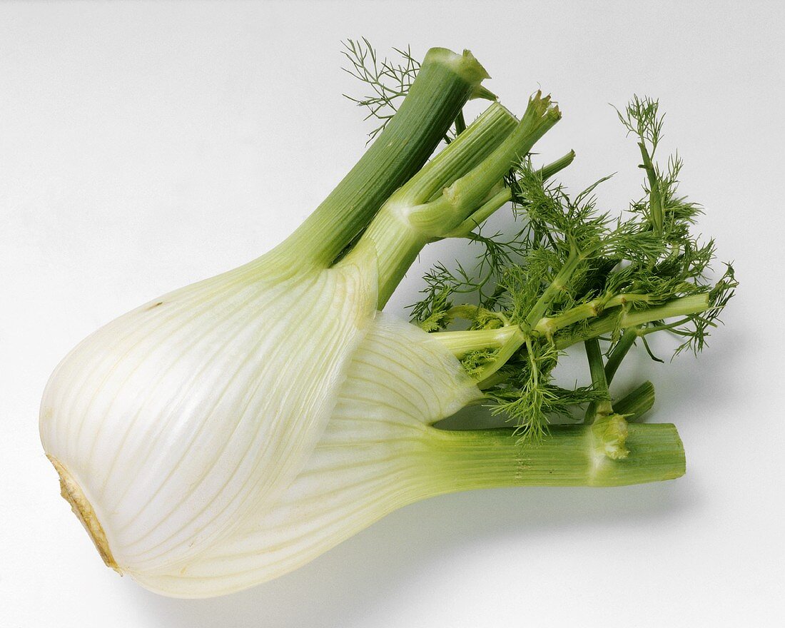 Fennel with Green