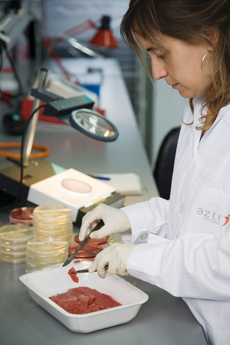 Microbiology laboratory, Microbiological tests of food, Meat, Euskadi, Spain