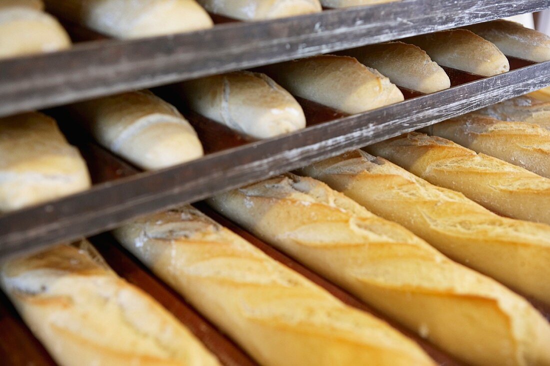 Bäckerei, Donostia, San Sebastian, Gipuzkoa, Euskadi, Spanien