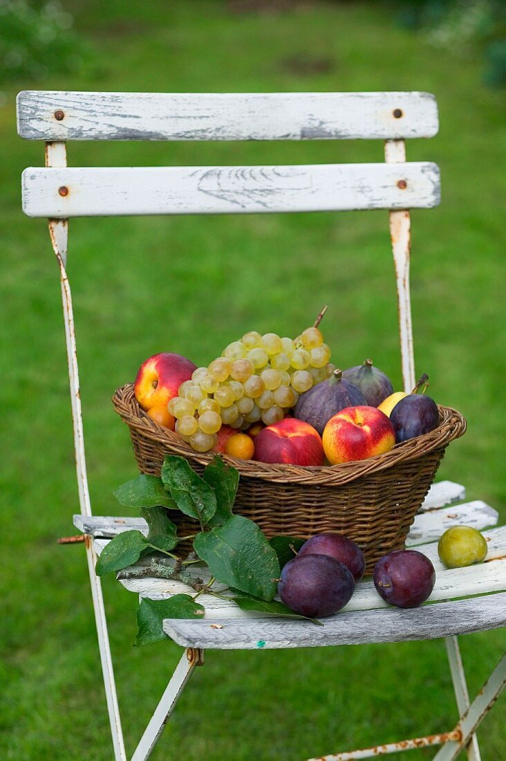 Eine Schale mit Obst auf Gartenstuhl