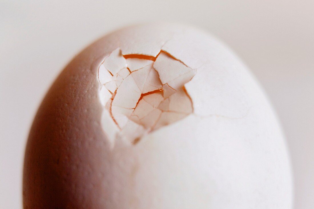 Egg with cracked shell