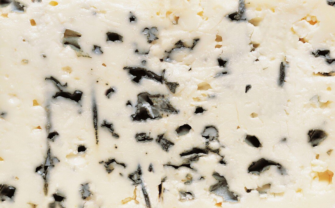 Roquefort (bildfüllend)