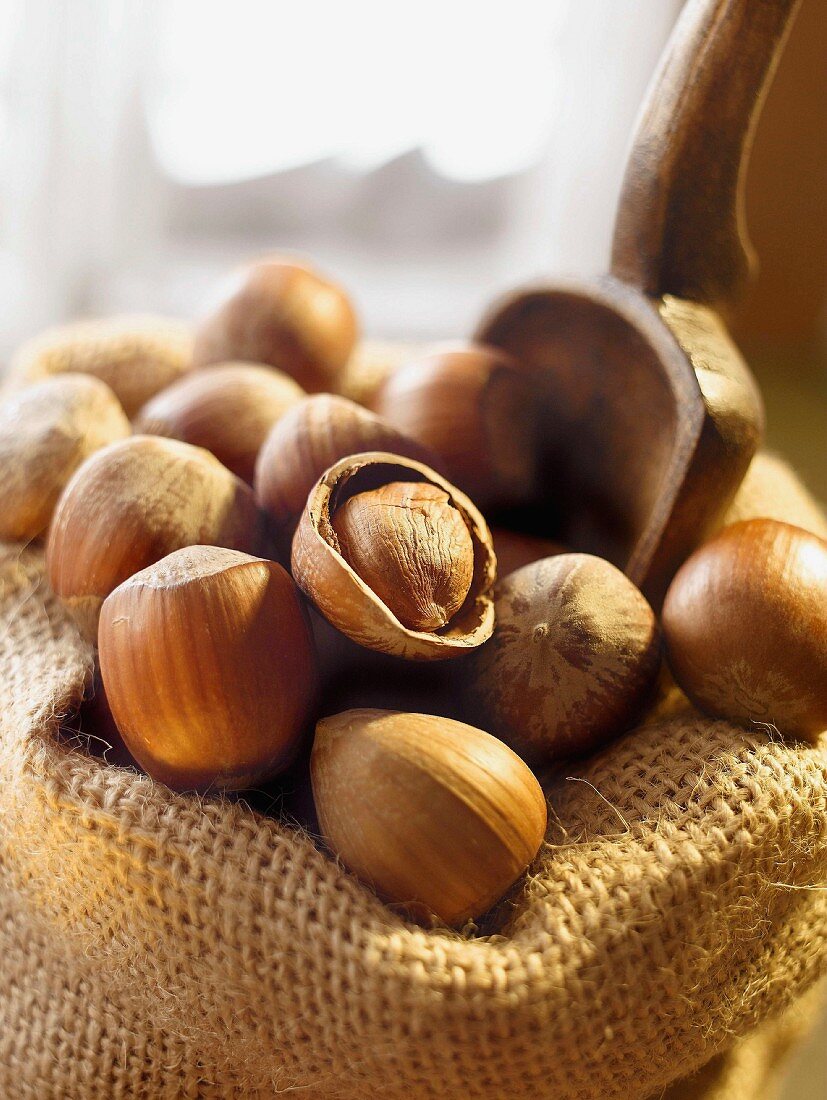 Hazelnuts