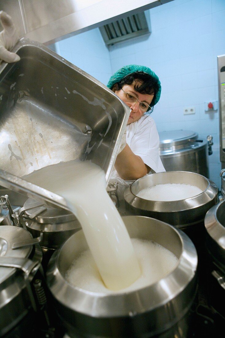 Milch wird in einen Behälter gegossen (Großküche)