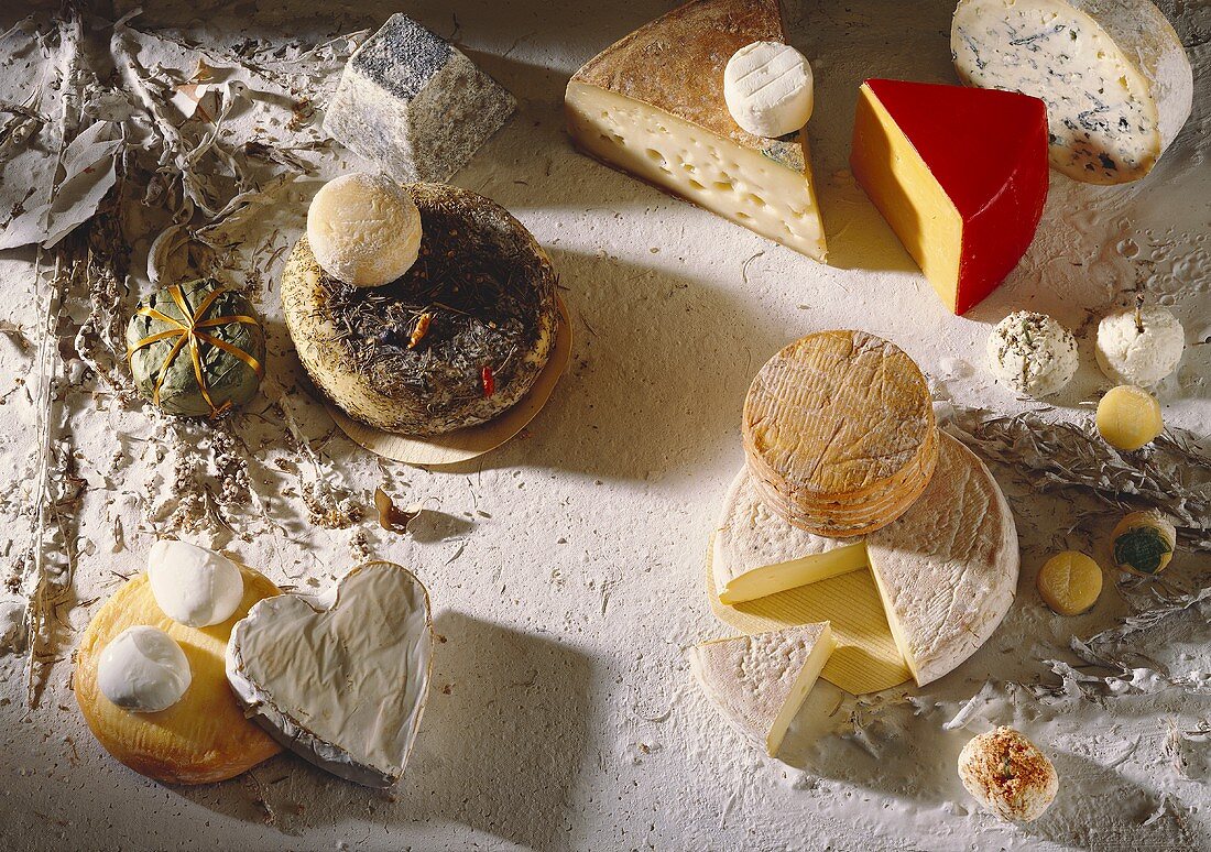 Still Life of Assorted Cheeses