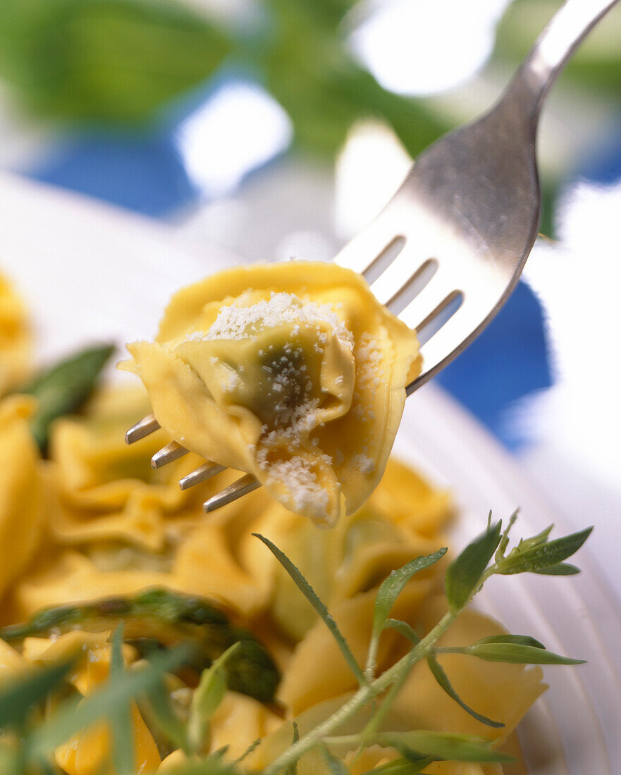 sage stuffed pasta