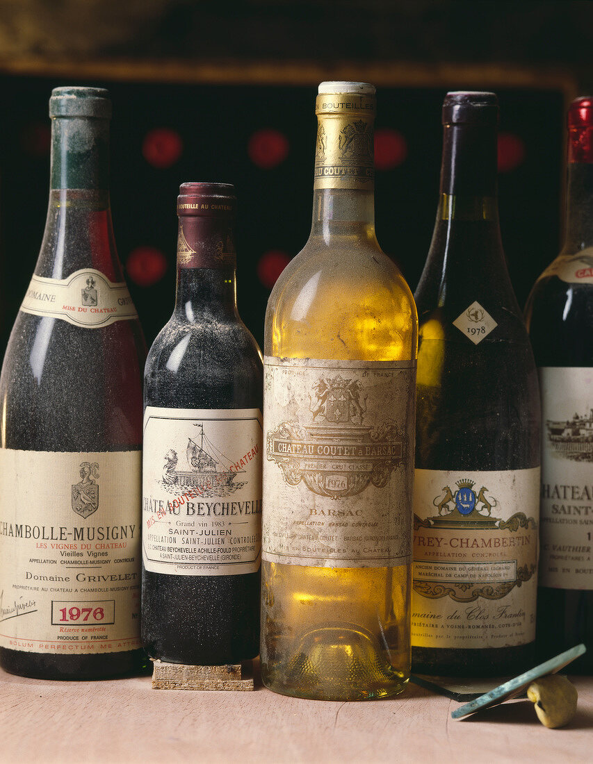 bottles of wine in cellar