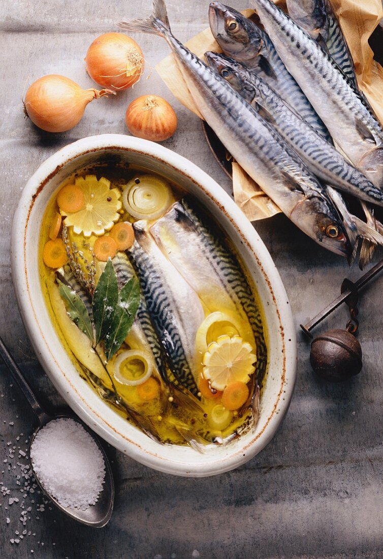 Makrelen in Olivenöl