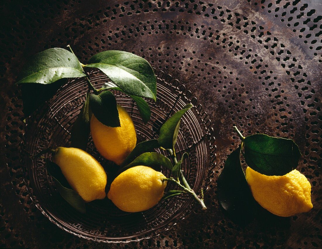 Vier frische Zitronen mit Blättern