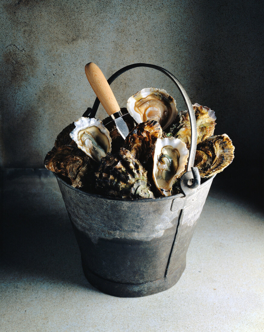 bucket of oysters
