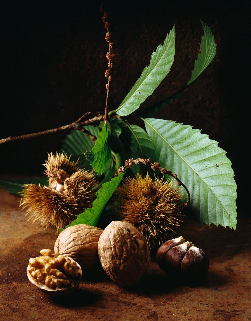 walnuts and chestnuts