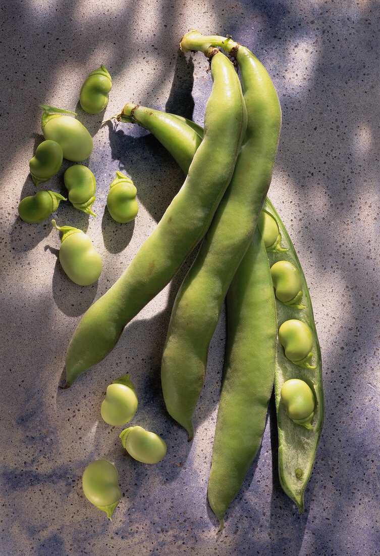 Broad beans