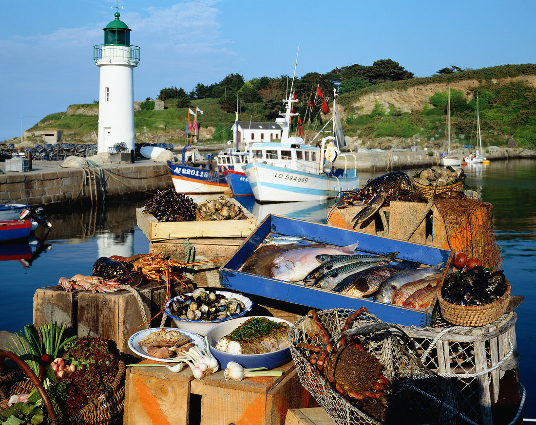 Verschiedene Fische und Meeresfrüchte im Hafen von Belle-Ile-en-Mer