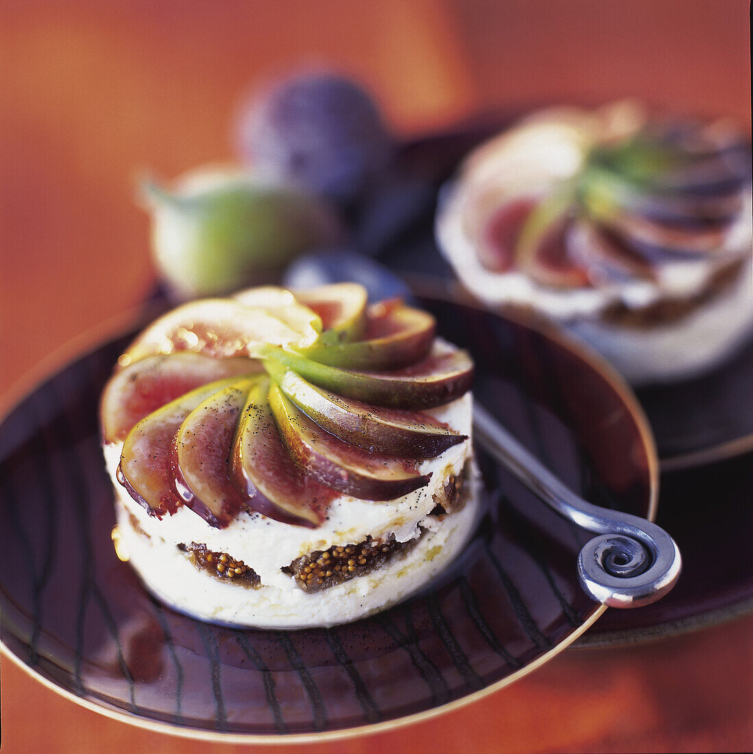 fresh goat's cheese terrine with figs