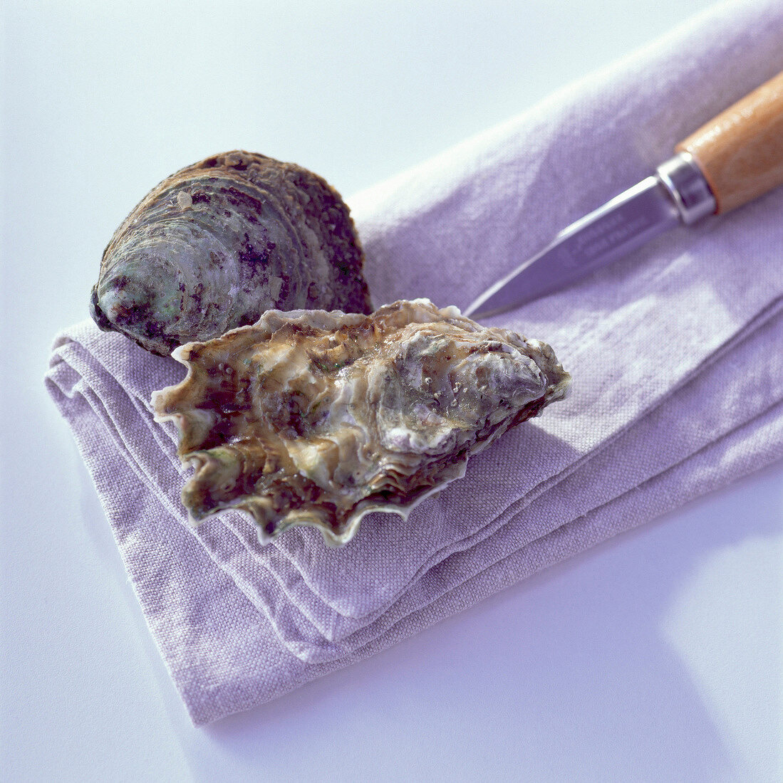 oysters, knife and tea towel