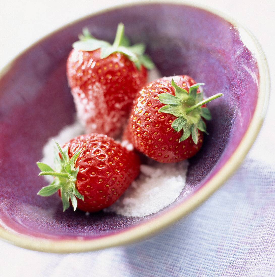 Frische Erdbeeren mit Zucker in einer Schale