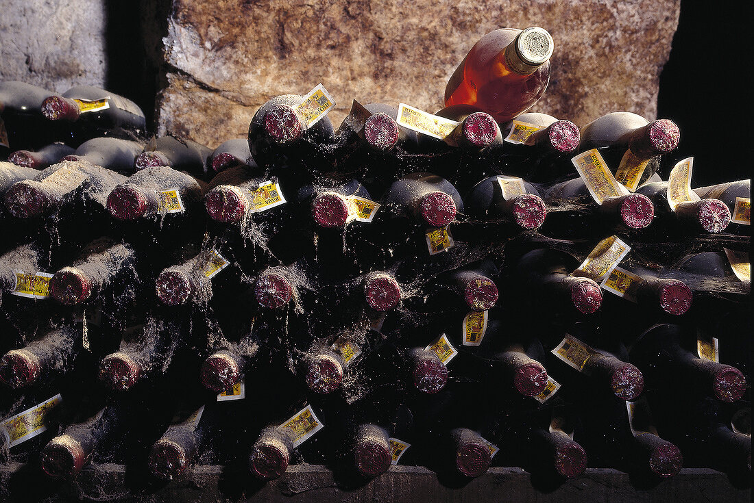 Weinflaschen im Weinkeller: Albarino aus Galizien und baskischer Txakoli