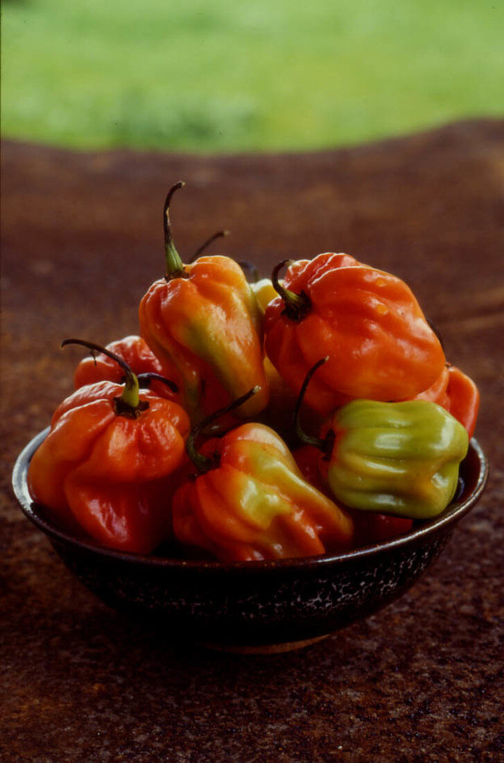 Caribbean peppers