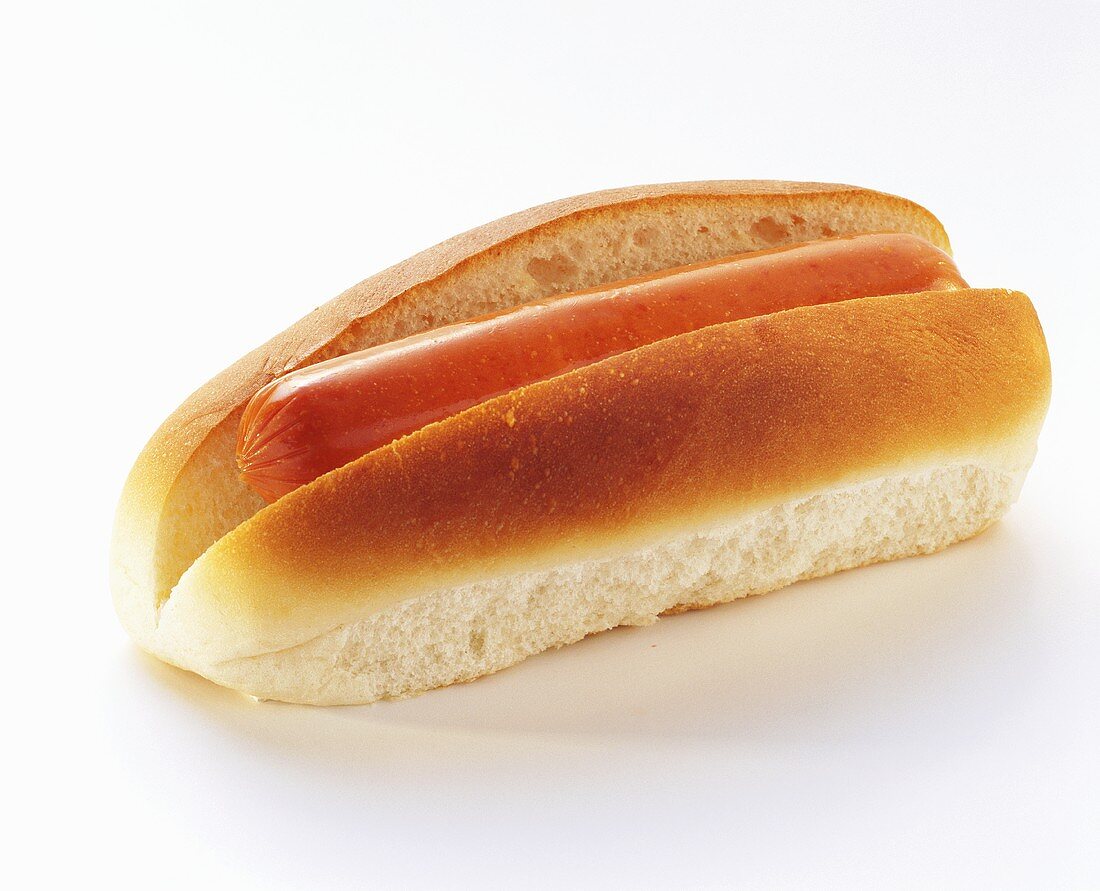 Hotdog in a Bun