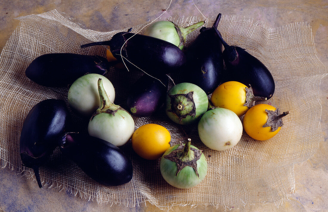 Selection of eggplants