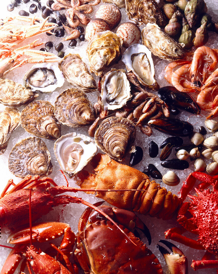 shellfish and seafood