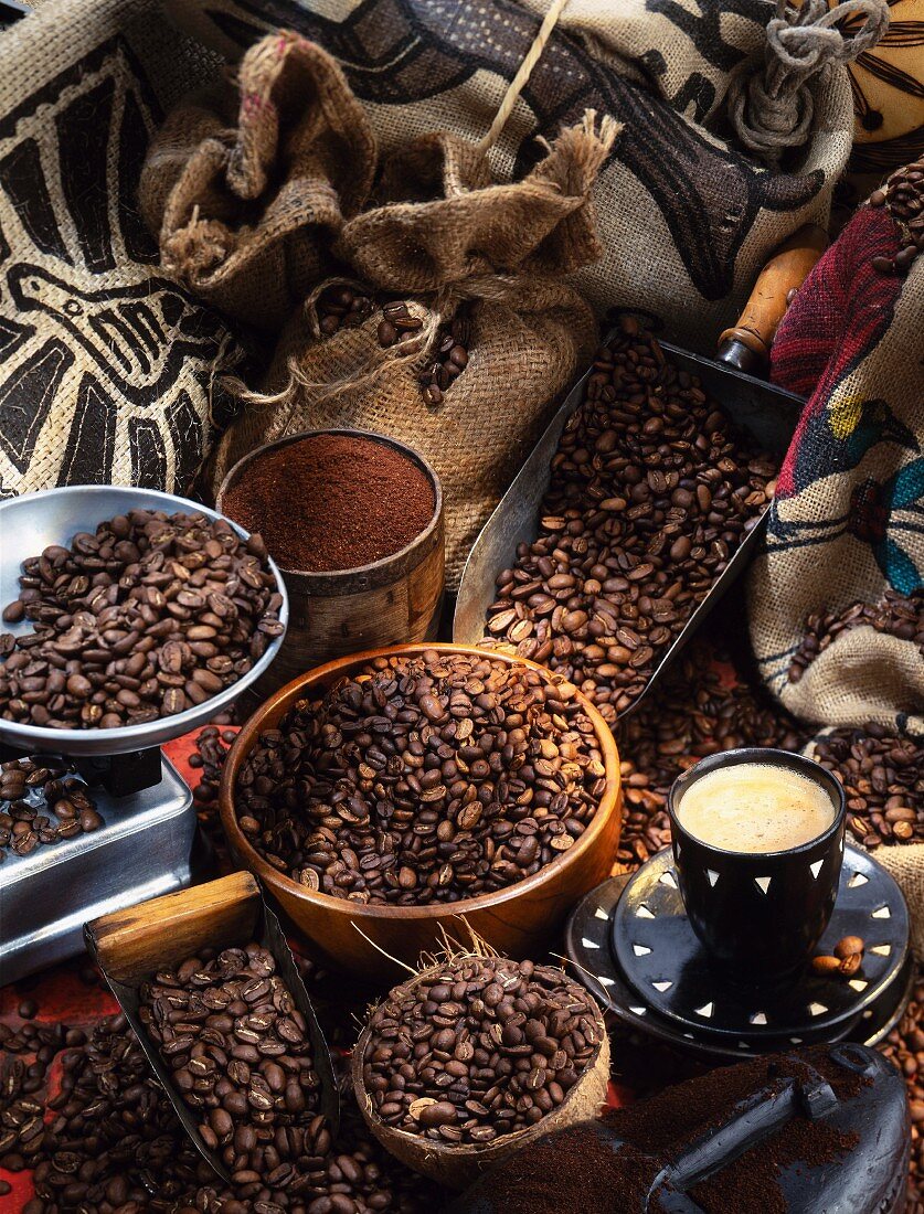 Selection of coffee beans