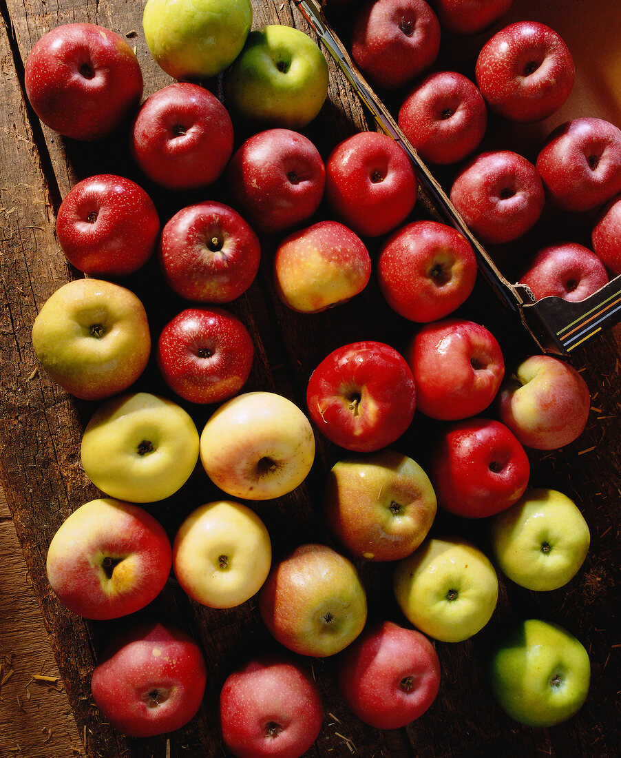 Verschiedene Äpfel auf Holzuntergrund