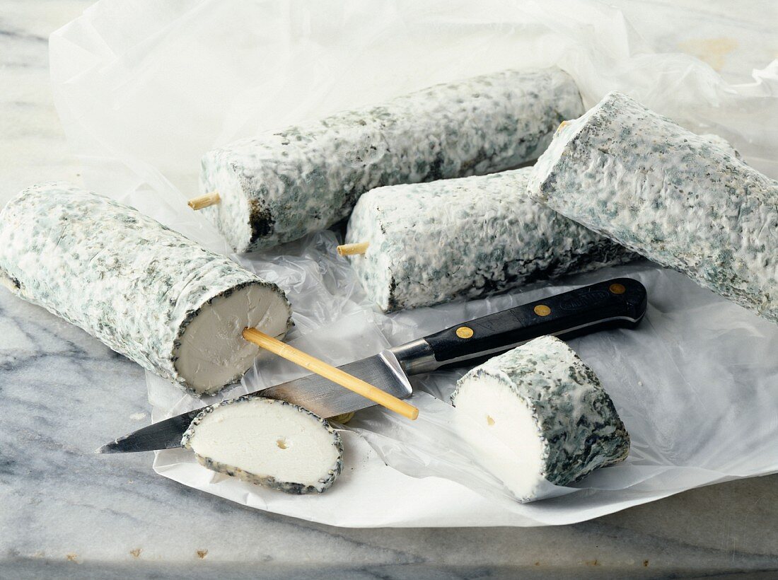 Saint-Maur de Touraine,goat cheese