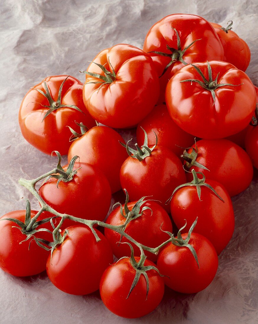 Frische, reife Tomaten