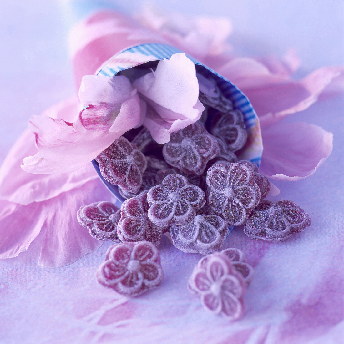 Bonbons à la violette (Veilchenbonbons aus Frankreich)