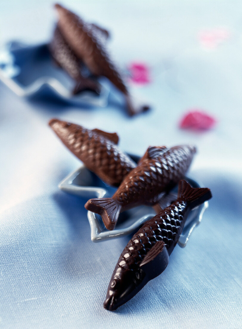 Chocolate fish