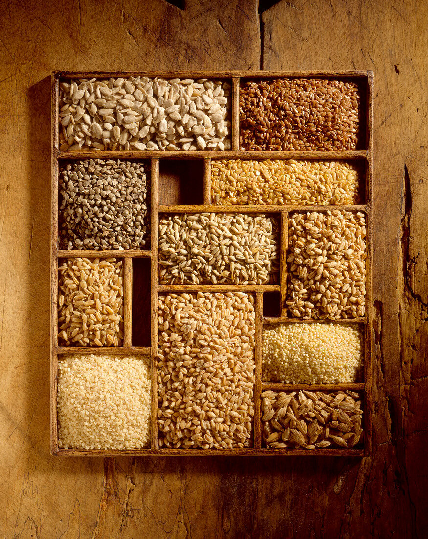 Verschiedene Getreidekörner in einem Setzkasten auf Holz