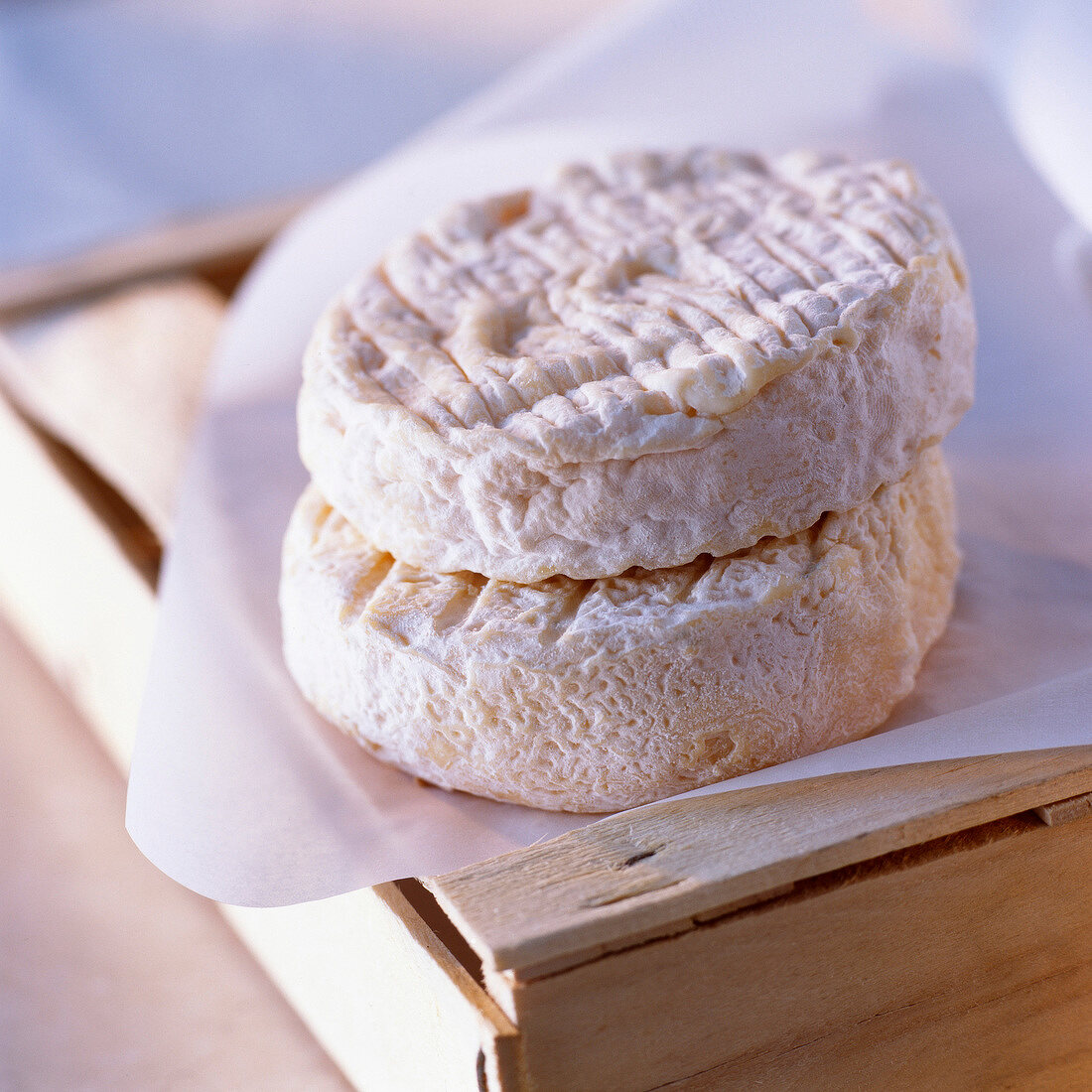 Zwei Saint-Félicien (Ziegenkäse, Frankreich) auf Papier