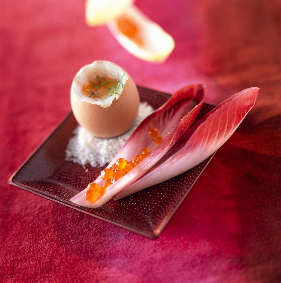 Boiled egg, chicory soldiers with salmon roe cream