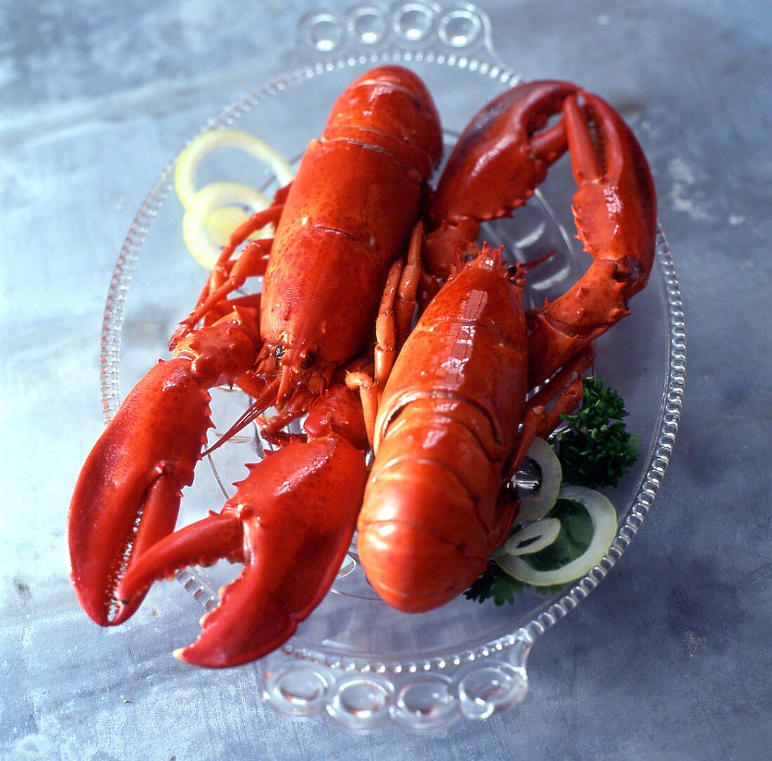 Boiled lobster