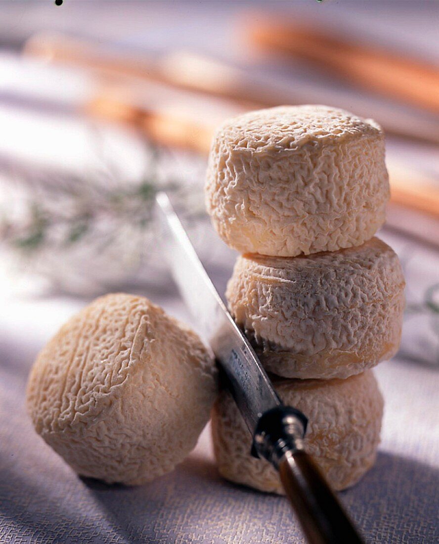 Crottin de Chavignol (runde Weichkäse aus Ziegenmilch, Frankreich)