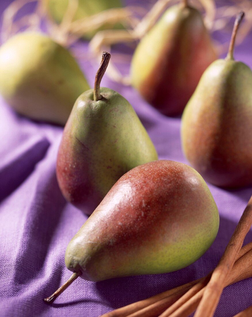 pears