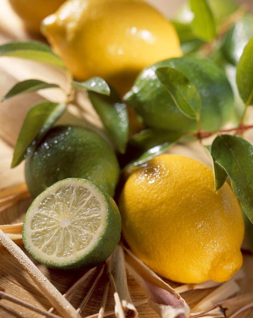 Limetten und Zitronen