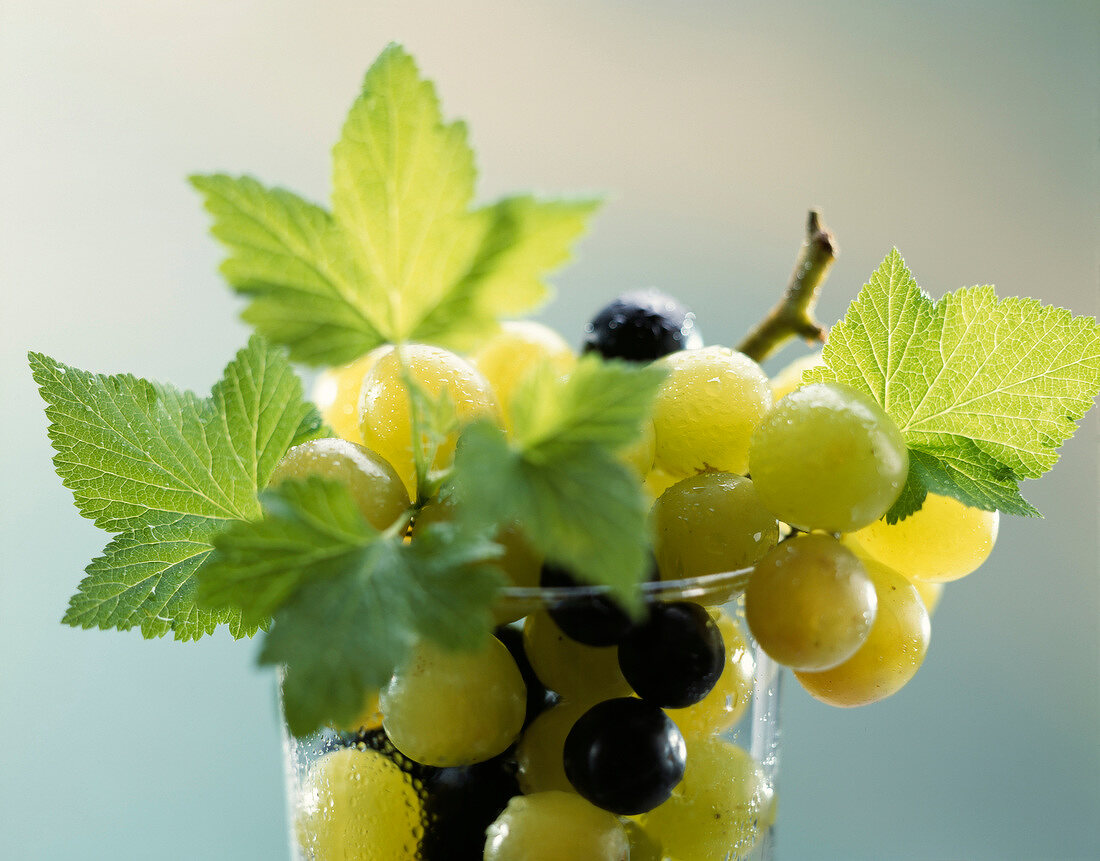 Black and white grapes