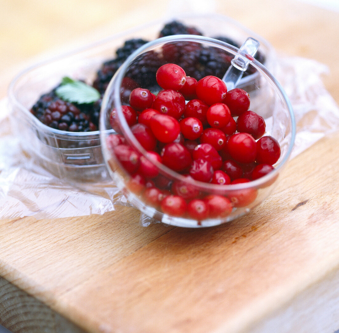 Glastasse mit frischen Cranberries