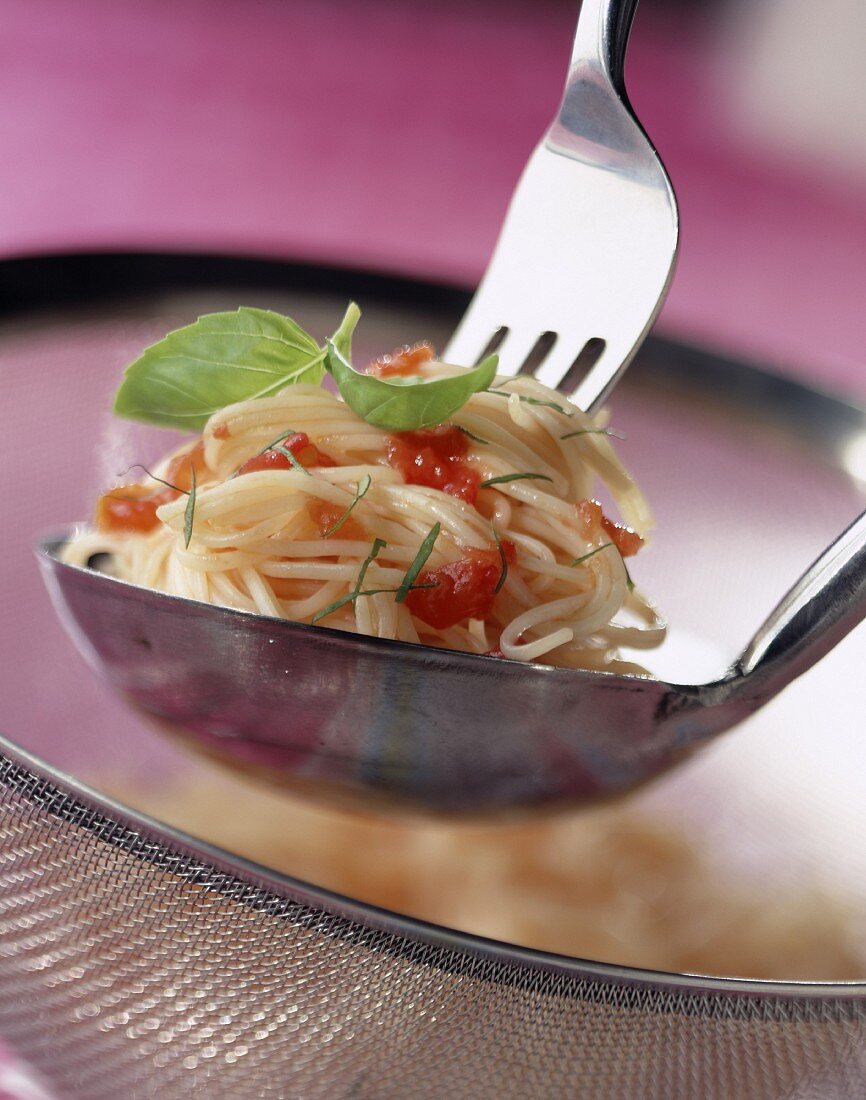 Capelli d'angelo mit Tomate und Pistou (Basilikum-Knoblauch-Paste)