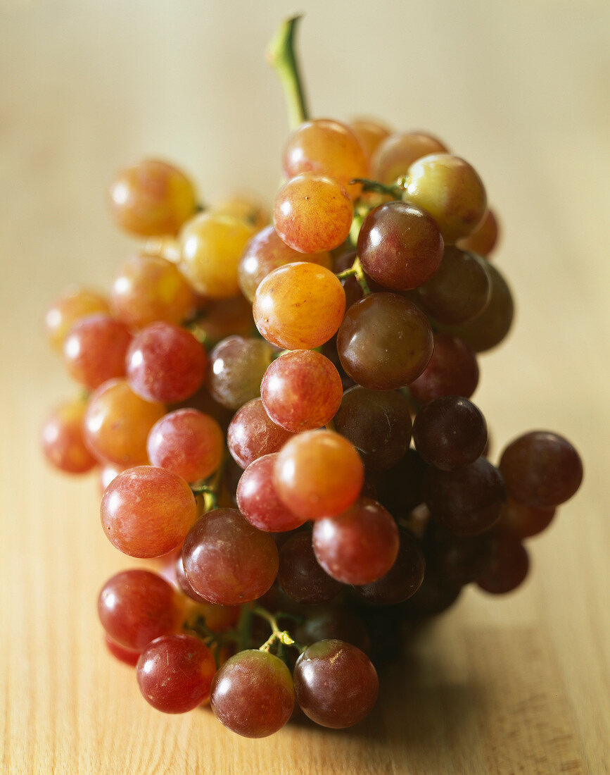 Frische rote Weintrauben